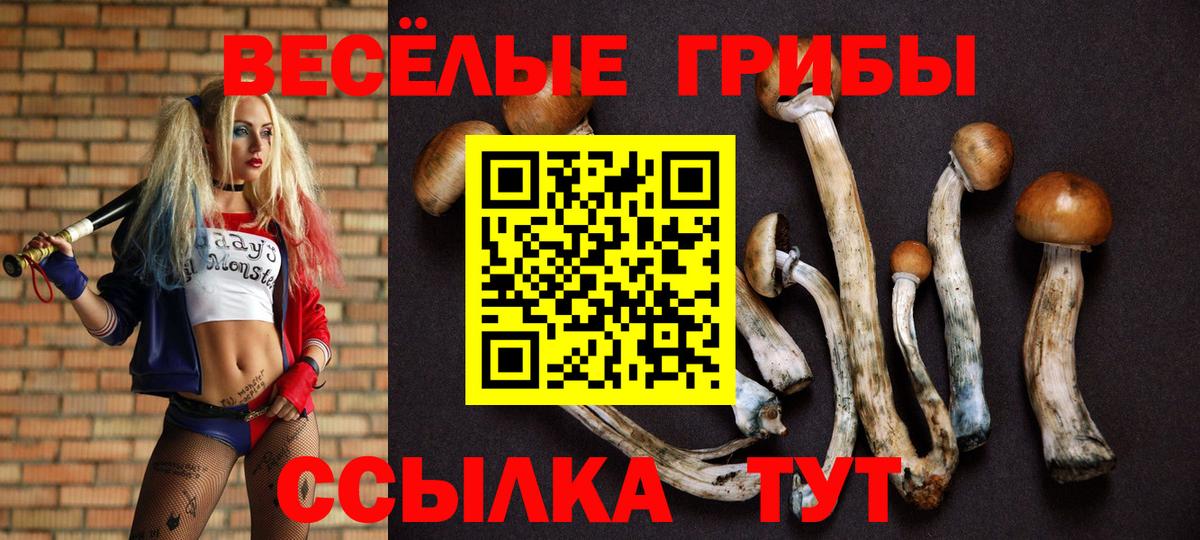 Псилоцибиновые грибы Magic Shrooms Котлас