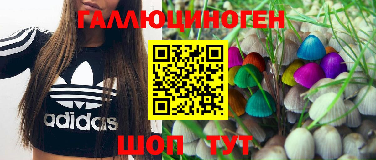 Галлюциногенные грибы Cubensis  Галлюциногенные грибы Magic Shrooms  Вход с VPN  Котлас 